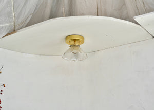 Antique glass Holophane flush mount light fixture for the ceiling with brass hardware. Quittner.