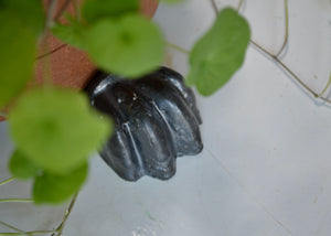 Our planter feet increase air flow around your precious plants indoors or outside. Use with or without a saucer. Each order includes 3 feet, enough for one pot. As the feet are glazed, they are safe to use directly on a wood floor or surface. Quittner.