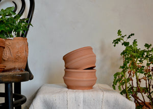 Small planter pot hand-thrown in terra cotta with ribbed detail. This pot has no drainage hole, so is perfect for bulbs or countertop woody herbs like rosemary, sage, or thyme. Each piece is hand-thrown and small variations are inherent to the process. Firehouse Pottery Co. Quittner