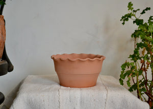 Small planter pot hand-thrown in terra cotta with ruffle detail bowl form. This pot is ideal for use as for herbs in your kitchen, a seasonal flower like a pansy or marigold, or a trio of small bulbs. No drainage hole. Firehouse Pottery Co. Quittner.