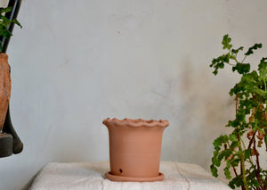 Small planter pot hand-thrown in terra cotta with ruffle detail and built-in drainage tray. This pot is ideal for use as for herbs in your kitchen, a seasonal flower like a pansy or marigold, or a single bulb. Firehouse Pottery Co. Quittner