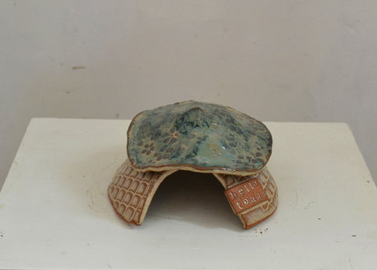 Toad house for toads