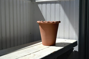a potted plant sitting on top of a table 