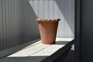 a potted plant sitting on a window sill 